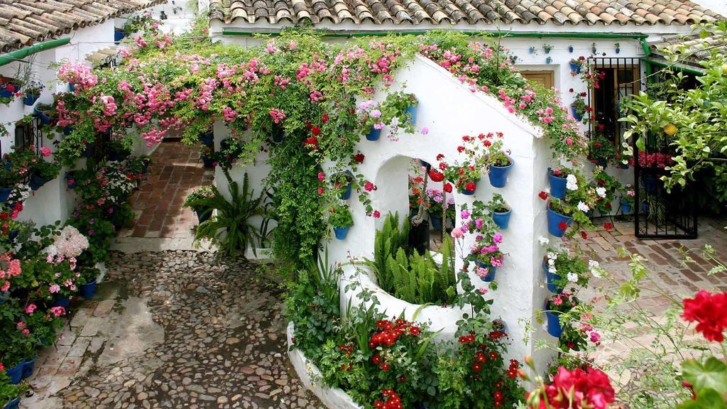 El centenario de la fiesta de los Patios de Córdoba adaptado a la pandemia El centenario de la fiesta de los Patios de Córdoba adaptado a la pandemia