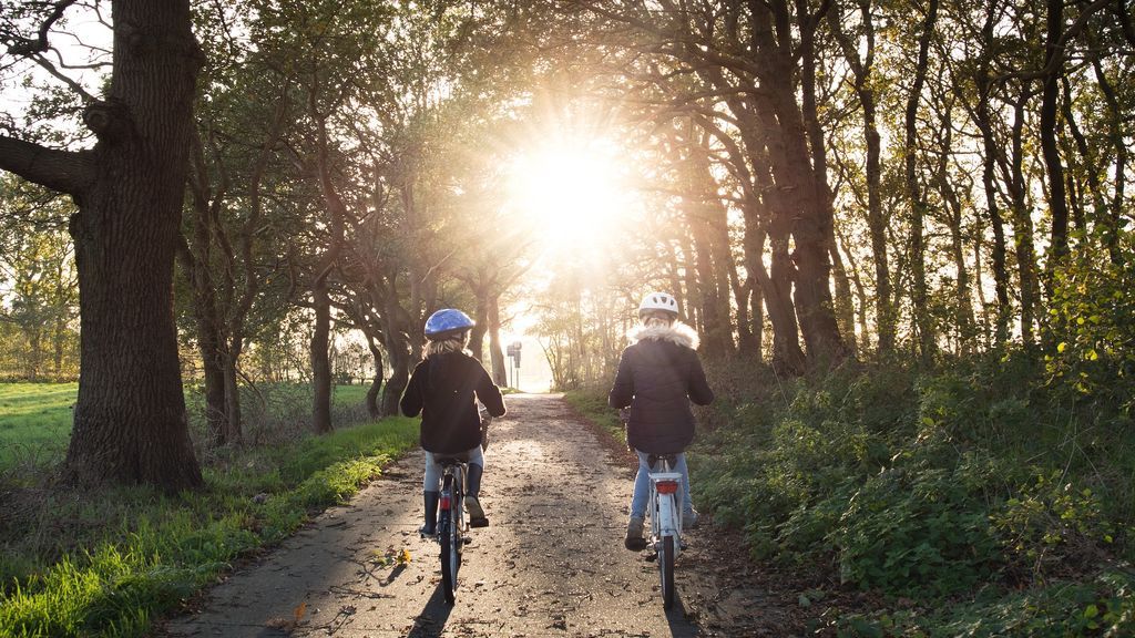 Carnet para ir en bici: ¿será necesario? Carnet para ir en bici: ¿será necesario?