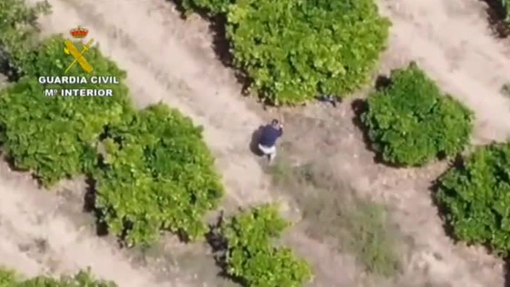 Un dron pilla huyendo a un narcotraficante en Sevilla