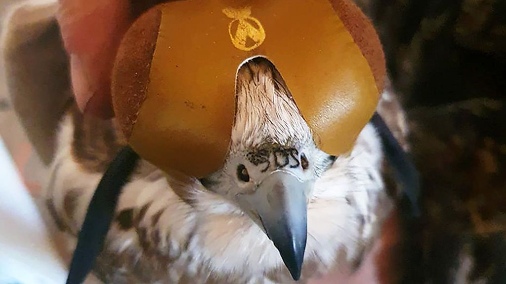 information_items_7980