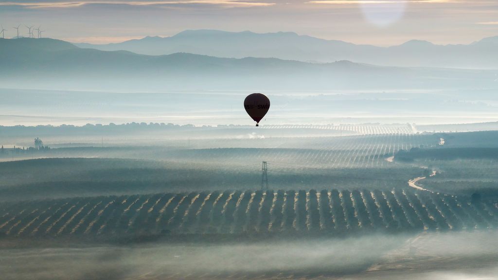 Acaite-Enero19-D°a2 (44)