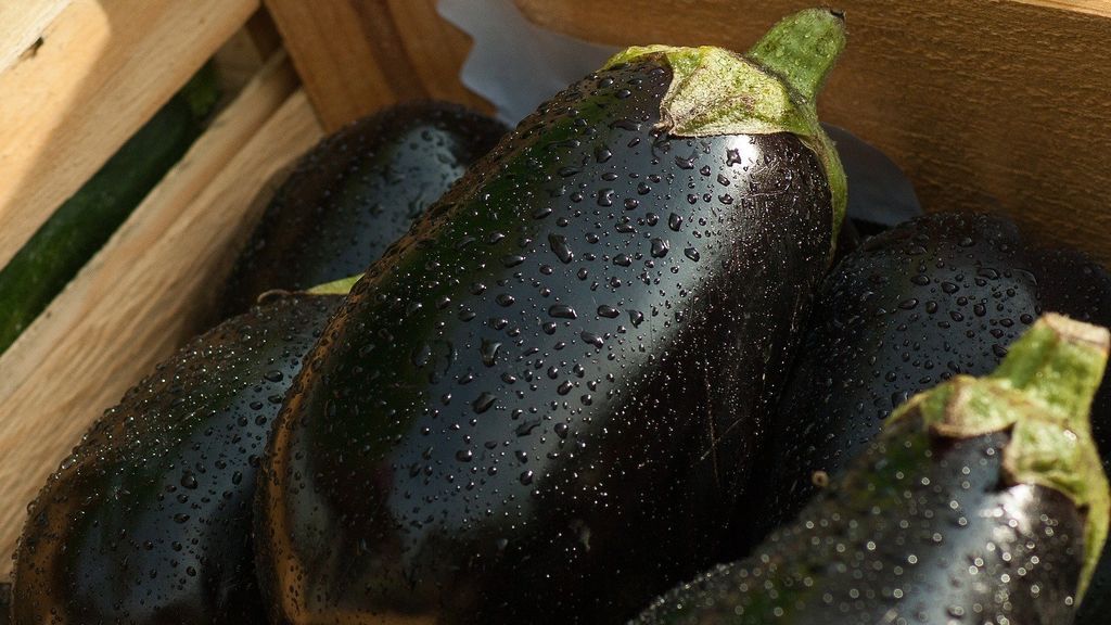 eggplant-1707629_1920