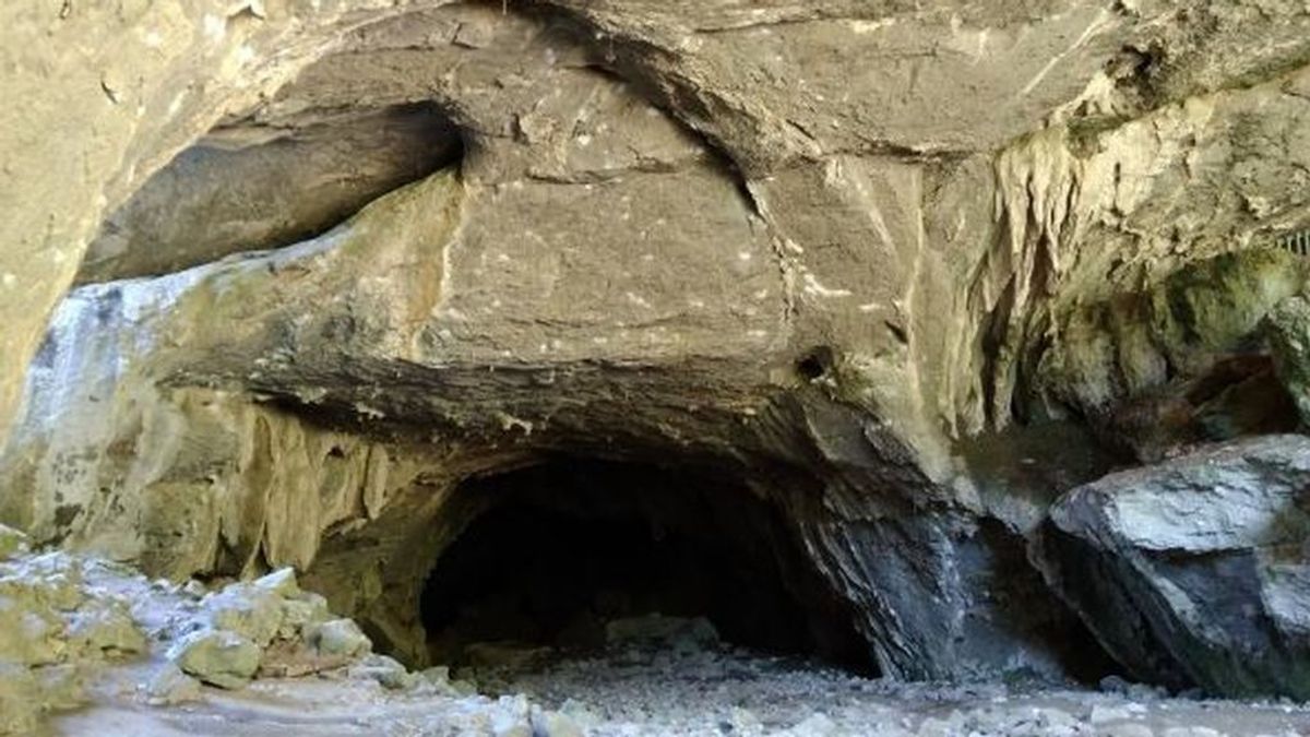 Diez hospitalizados por 'fiebre Q' tras visitar las cuevas de Baltzola, en Vizcaya Diez hospitalizados por 'fiebre Q' tras visitar las cuevas de Baltzola, en Vizcaya