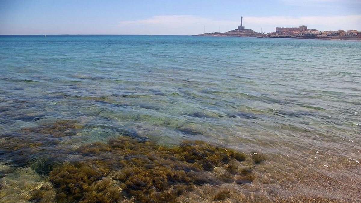 Una avioneta cae al mar en aguas de Cabo de Palos Una avioneta cae al mar en aguas de Cabo de Palos