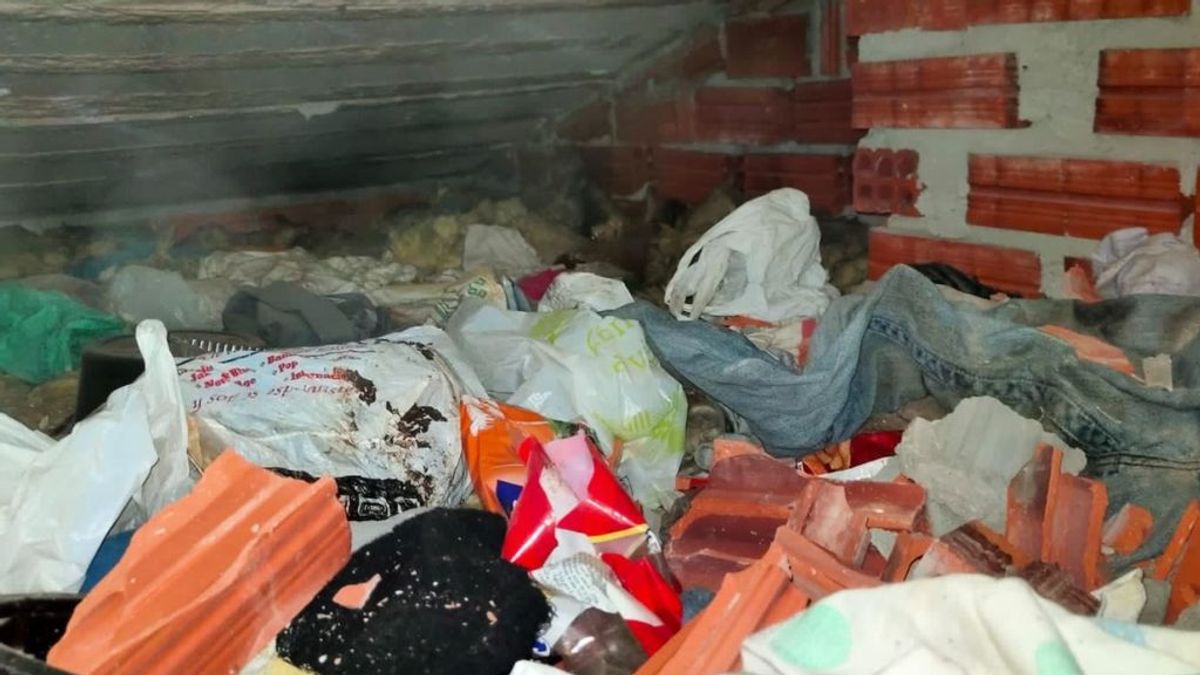 La denuncia de una menor por una agresión sexual destapa un zulo con 4 chicas escondidas en Valladolid La denuncia de una menor por una agresión sexual destapa un zulo con 4 chicas escondidas en Valladolid