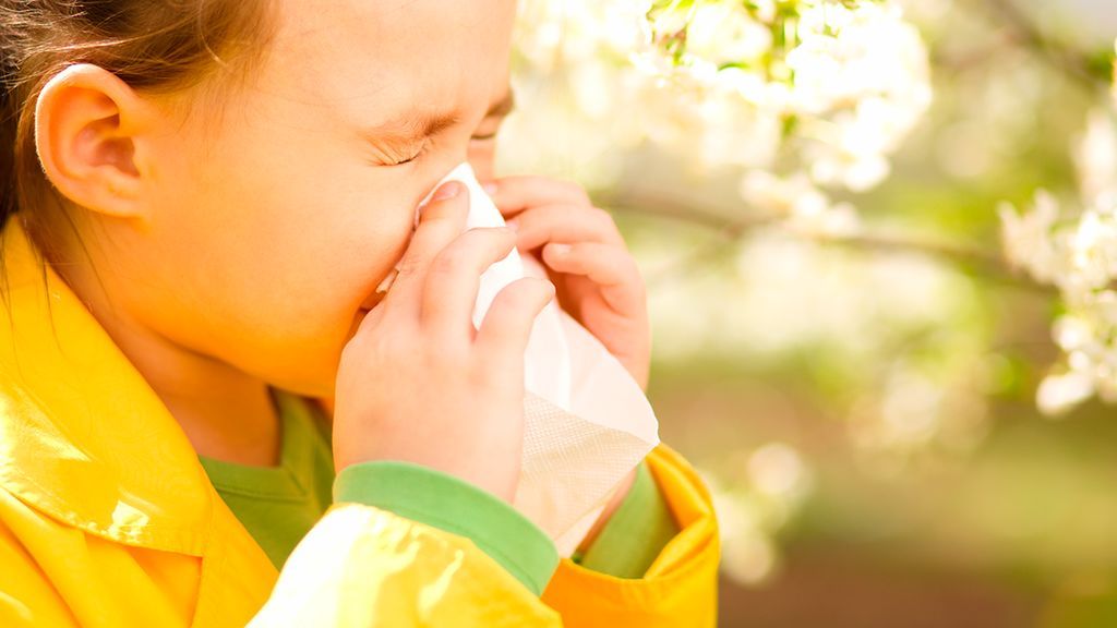 La alergia se produce como respuesta del sistema inmunitario.