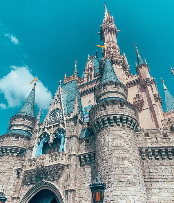 Porque No Hay Mosquitos En Disney