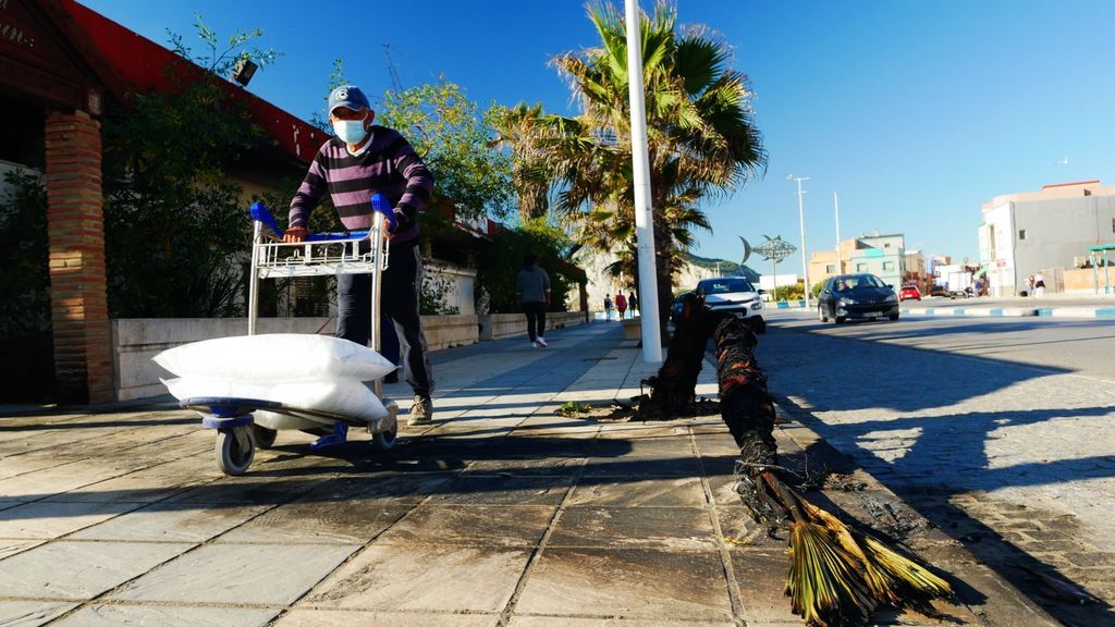 Un hombre pasa junto a una palmera quemada