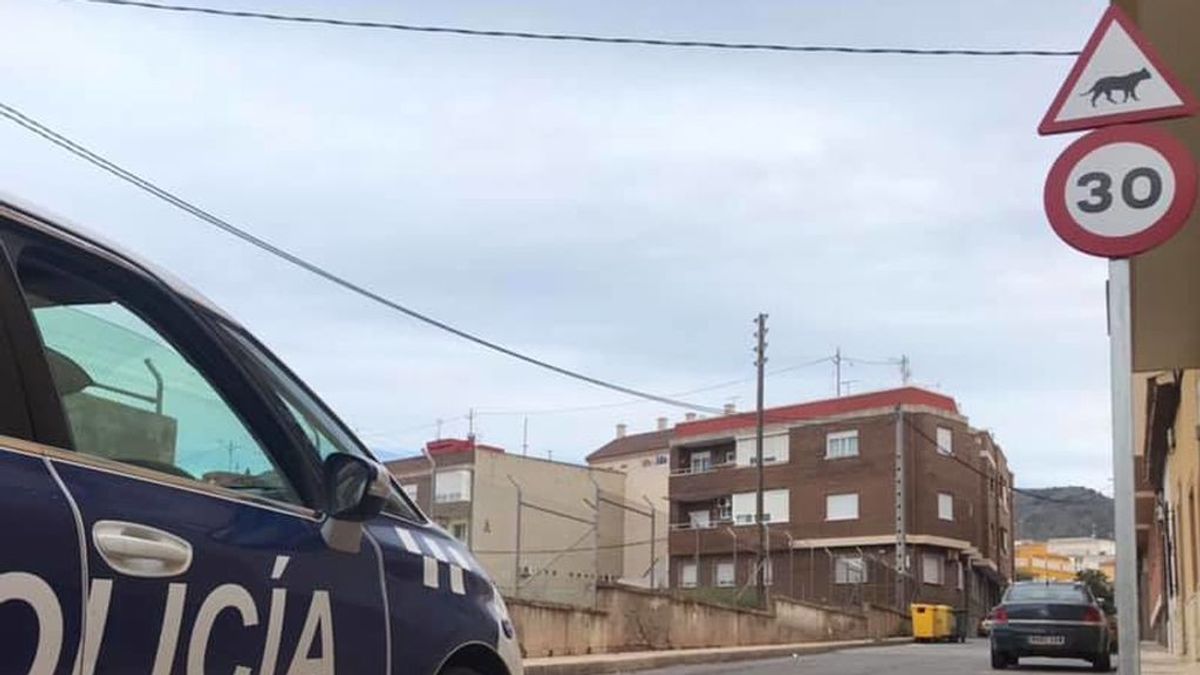 Colocan unas señales de tráfico para advertir a los conductores de la presencia de gatos y frenar los atropellos Colocan unas señales de tráfico para advertir a los conductores de la presencia de gatos y frenar los atropellos