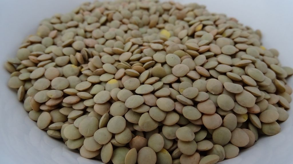 lentils-2790516_1920