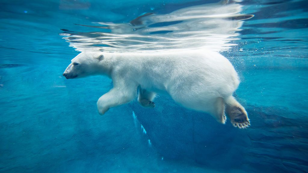 178808082_10157736558661109_4273123544448755521_n