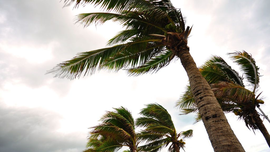 El temporal de viento seguirá cobrando fuerza: el tiempo que hará en España el viernes