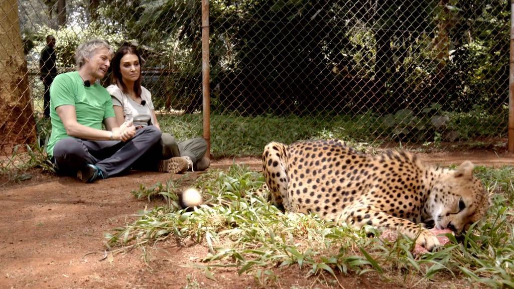 Jesús Calleja y Paula Echevarría visitan el orfanato de animales de Nairobi