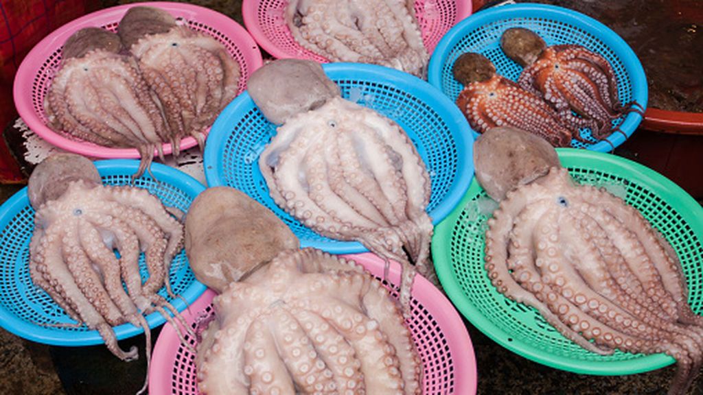 gettyimages-932760040-170667a