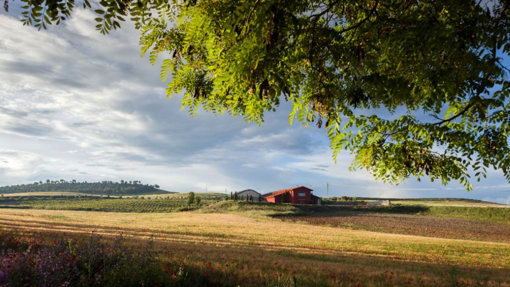 Bodega César Príncipe
