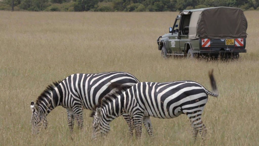 El safari de Paula Echevarría con Jesús Calleja por Kenia
