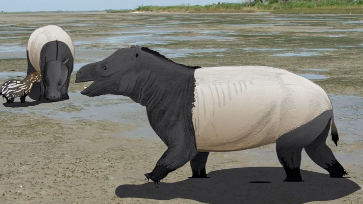 Hipopótamos en la playa: así era el mamífero que se reunía en la orilla del mar hace 58 millones de años