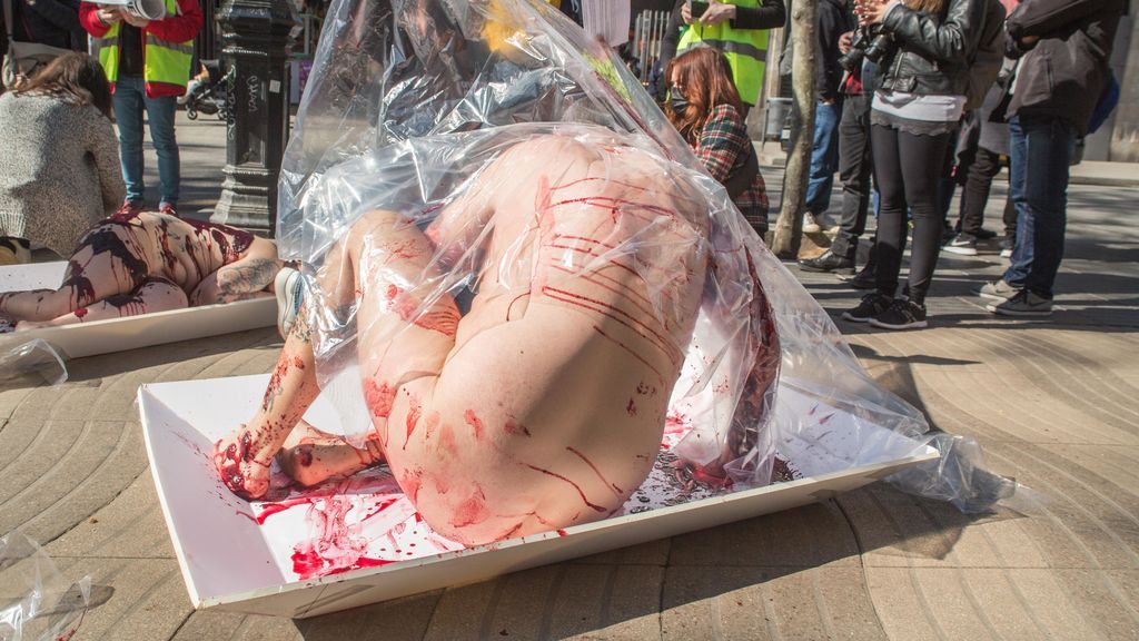 Protesta animalista en Madrid