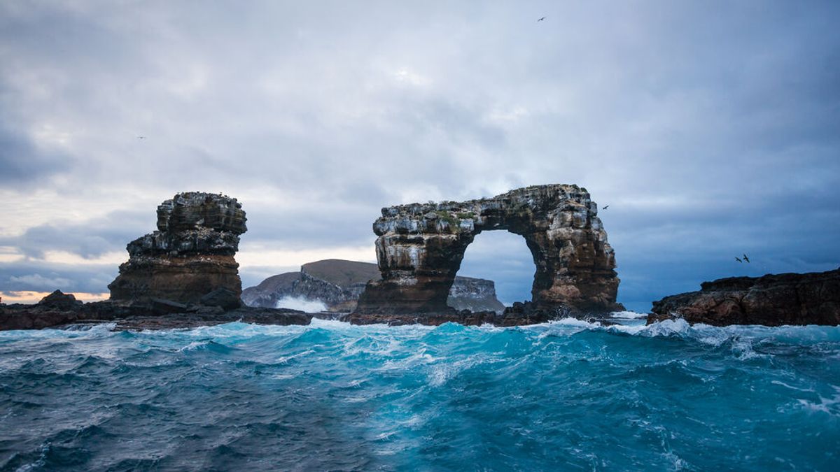 El arco de Darwin en Gálapagos colapsa por la erosión El arco de Darwin en Gálapagos colapsa por la erosión