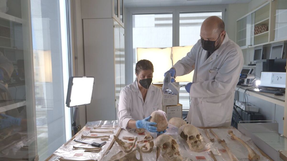 En cinco meses se podría confirmar el origen de Cristóbal Colón a través de análisis de ADN En cinco meses se podría confirmar el origen de Cristóbal Colón a través de análisis de ADN