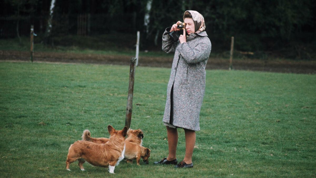 Isabel II, "devastada" por la muerte de uno de sus perros Isabel II, "devastada" por la muerte de uno de sus perros