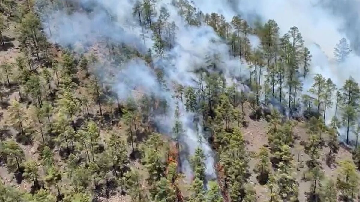 El fuerte viento dificulta el control del incendio que afecta a 300 hectáreas en Tenerife El fuerte viento dificulta el control del incendio que afecta a 300 hectáreas en Tenerife