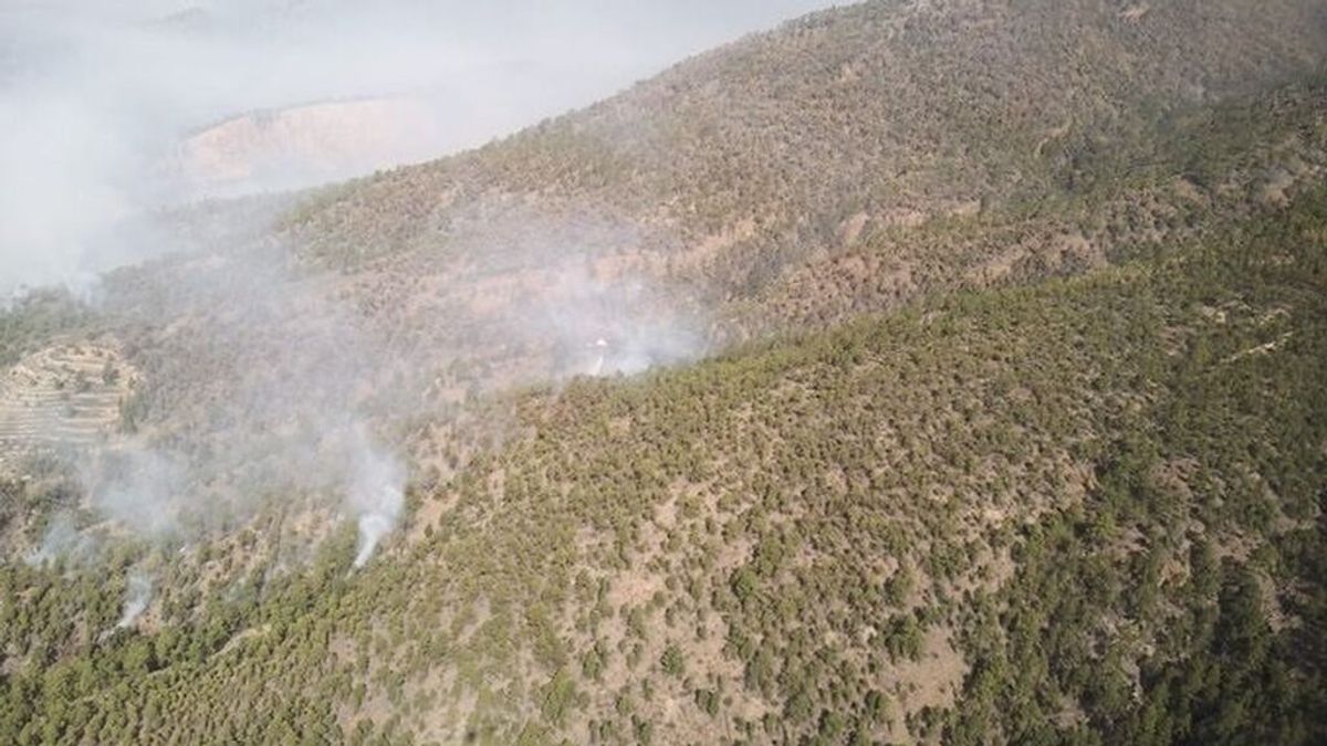 El incendio de Tenerife abarca una superficie de 3.300 hectáreas y se trabaja para que el fuego no pase de Arico El incendio de Tenerife abarca una superficie de 3.300 hectáreas y se trabaja para que el fuego no pase de Arico