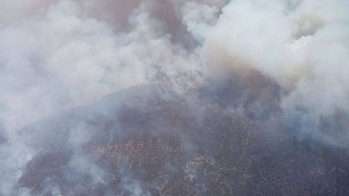Los medios aéreos se reincorporan con la luz del día a las tareas de extinción del incendio de Arico (Tenerife) Los medios aéreos se reincorporan con la luz del día a las tareas de extinción del incendio de Arico (Tenerife)