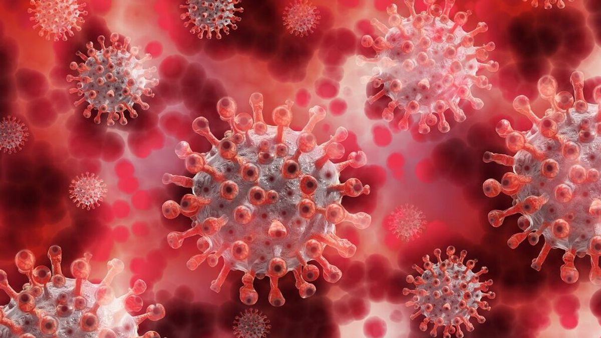 Modelos matemáticos predicen el futuro del coronavirus: ¿se convertirá en un virus estacional?