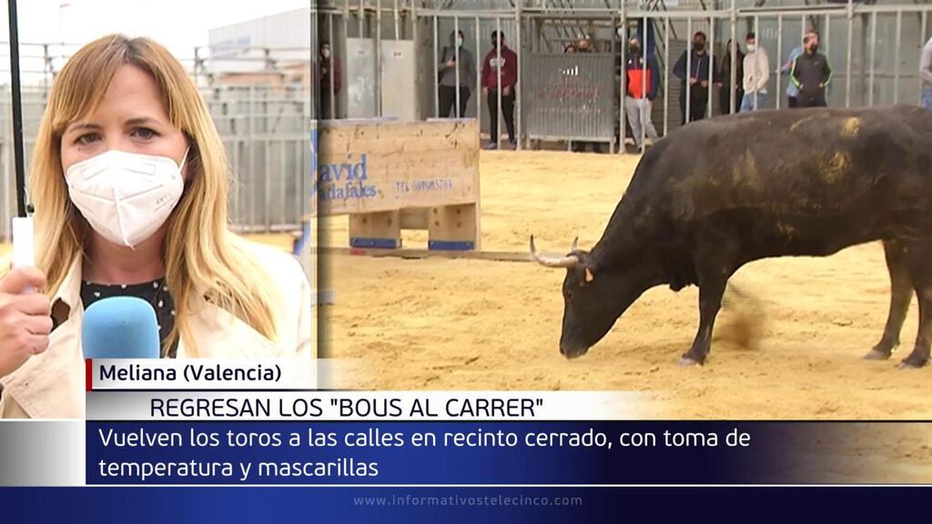 Meliana recupera los 'bous al carrer' en la Comunitat valenciana