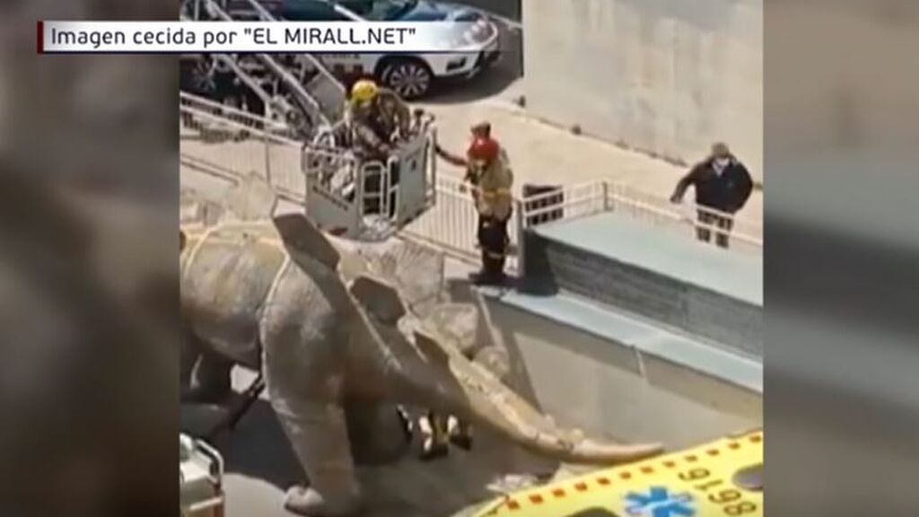 Hallan el cadáver de un hombre desaparecido en el interior de un dinosaurio de decoración en Barcelona