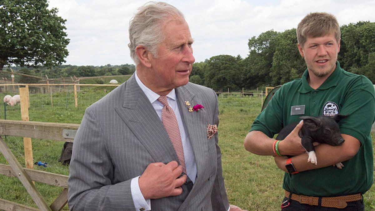 El príncipe Carlos: las granjas familiares deben estar en el centro del futuro sostenible