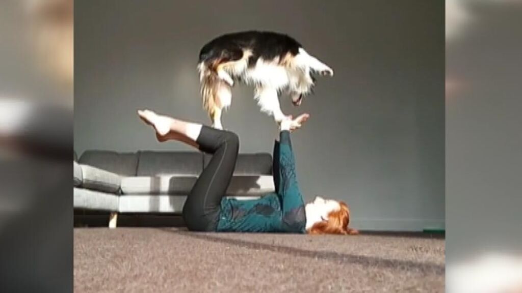 'Secret', la polifacética perra que arrasa haciendo yoga en Instagram