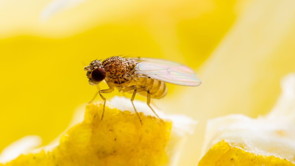 GettyImages-1224510529