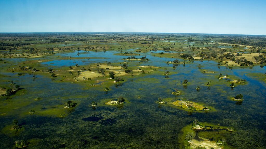 okavango-5028323_1920