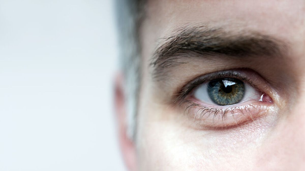Del mar a los ojos: un hombre ciego recupera parcialmente la vista gracias a un gen de algas