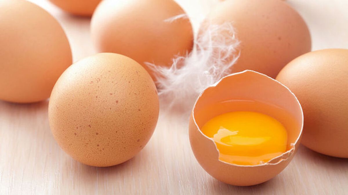 Este es el mejor truco para saber si un huevo está en buen estado o no: así podrás comprobarlo desde casa
