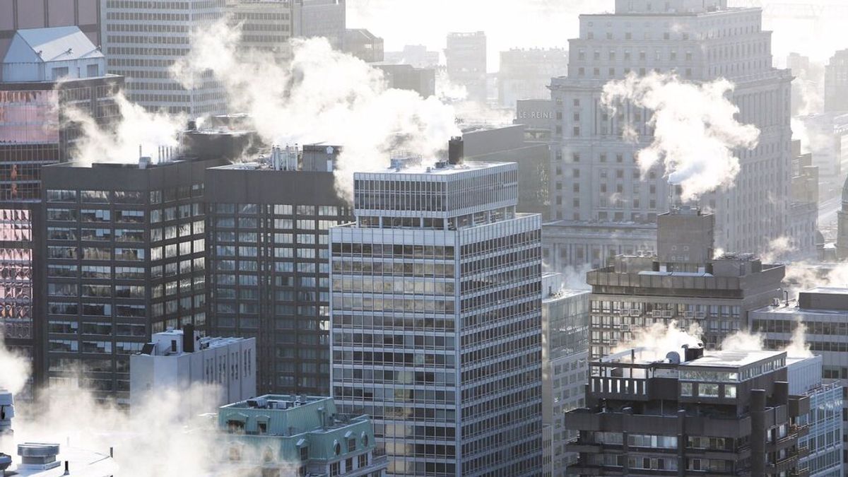 Salir a la calle un día con un pico de contaminación es como fumarse ese día cinco cigarrillo Salir a la calle un día con un pico de contaminación es como fumarse ese día cinco cigarrillo