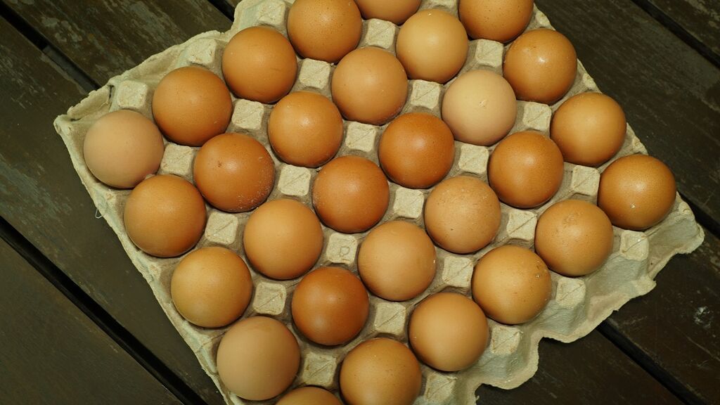 ingredientes-tortilla