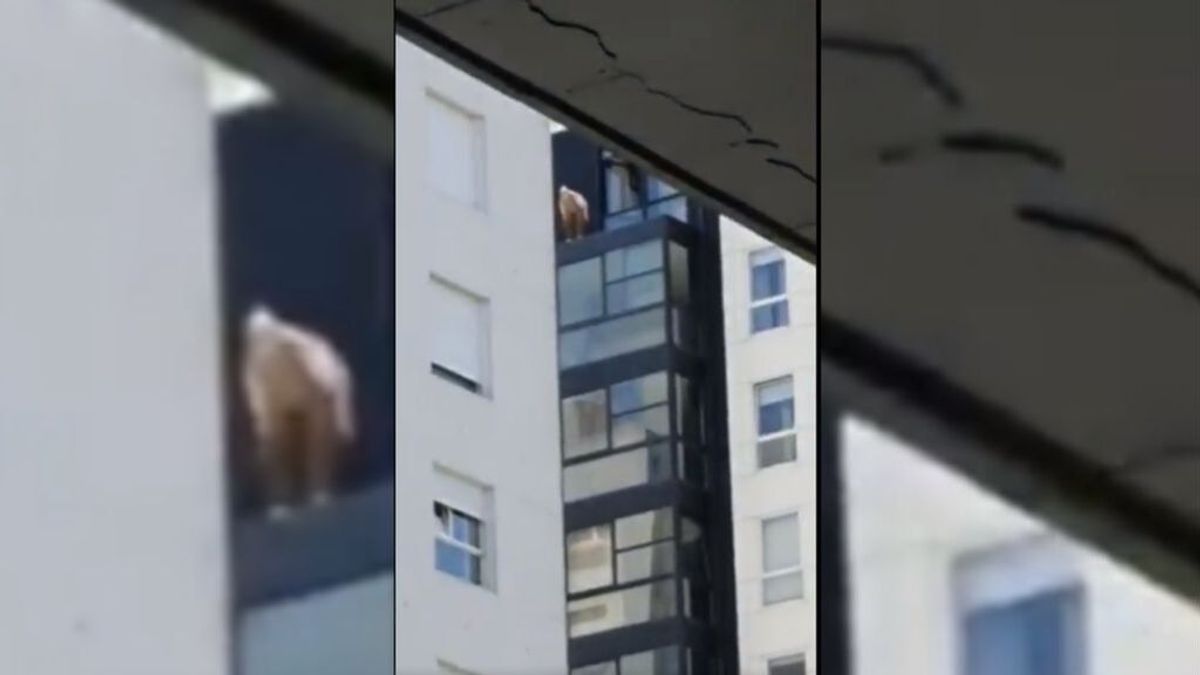 Un héroe anónimo rescata 'in extremis' a un anciano a punto de caer al vacío en Vigo Un héroe anónimo rescata 'in extremis' a un anciano a punto de caer al vacío en Vigo