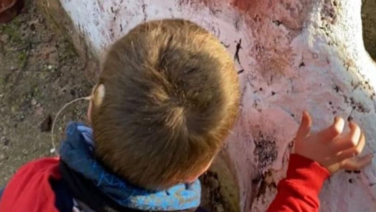 Piden ayuda para encontrar la antena del implante coclear de su hijo en Sevilla: "Es del tamaño de una moneda" Piden ayuda para encontrar la antena del implante coclear de su hijo en Sevilla: "Es del tamaño de una moneda"