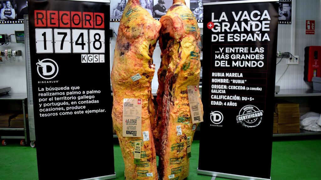 La vaca más grande de España, lista para ser degustada