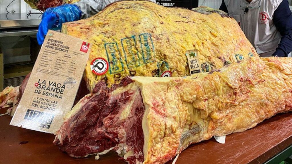 Comparación del lomo de 'Rubia' con el de una vaca normal