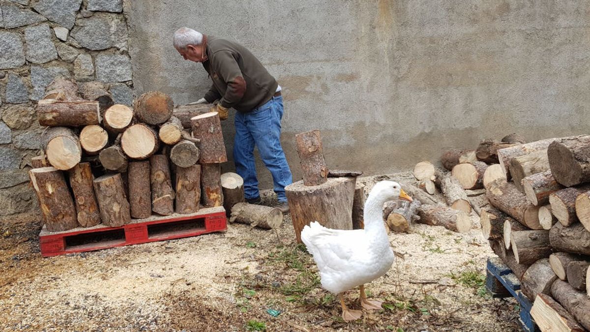 Se busca a Gertrudis: un pueblo de Lleida se une para recuperar a la oca secuestrada Se busca a Gertrudis: un pueblo de Lleida se une para recuperar a la oca secuestrada