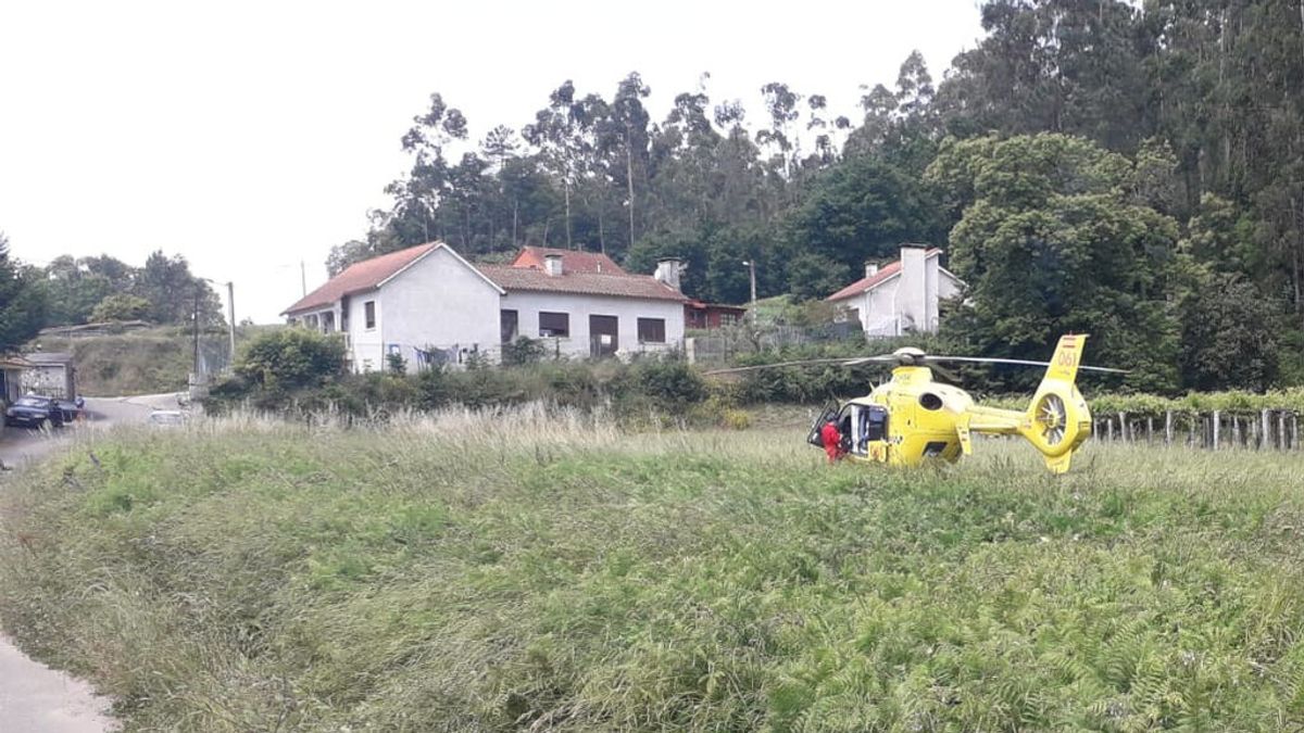 Muere un hombre de 53 años en Tomiño por la picadura de una avispa Muere un hombre de 53 años en Tomiño por la picadura de una avispa
