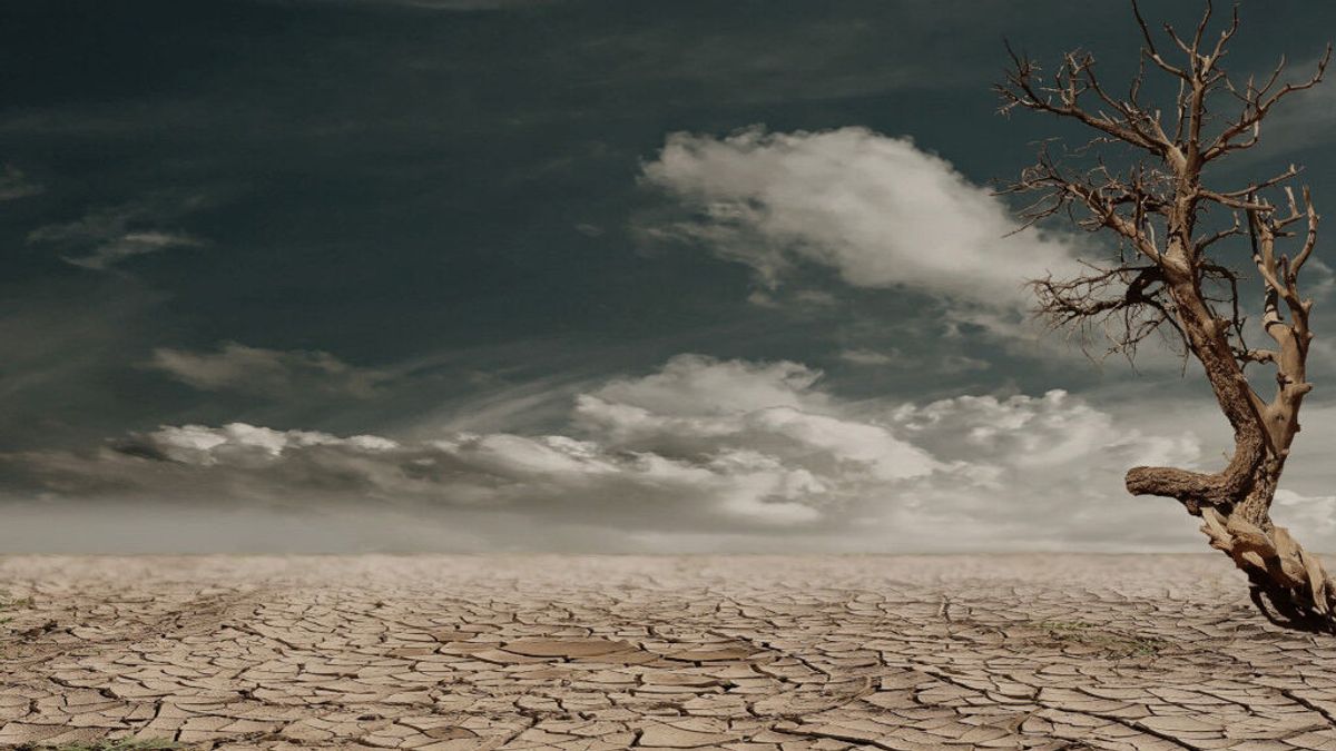 Un tercio de las muertes por calor se deben al cambio climático - NIUS