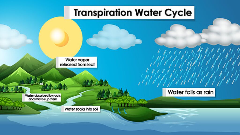 gettyimages-1187858394-170667a