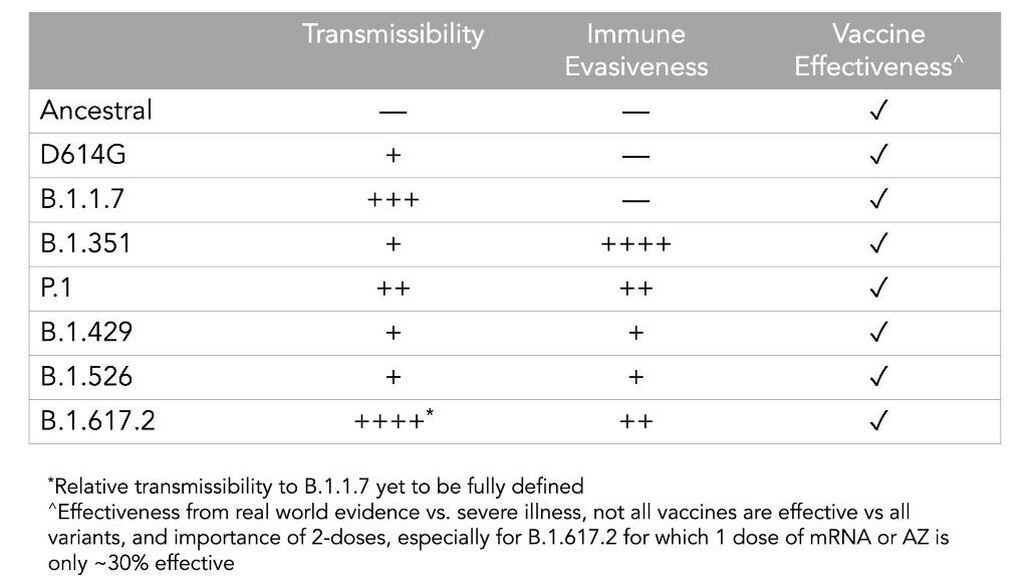 Características de las distintas variantes del coronavirus SARS-CoV-2