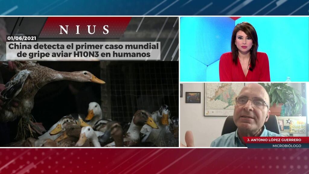 Primer caso de gripe aviar H10N3 en humanos