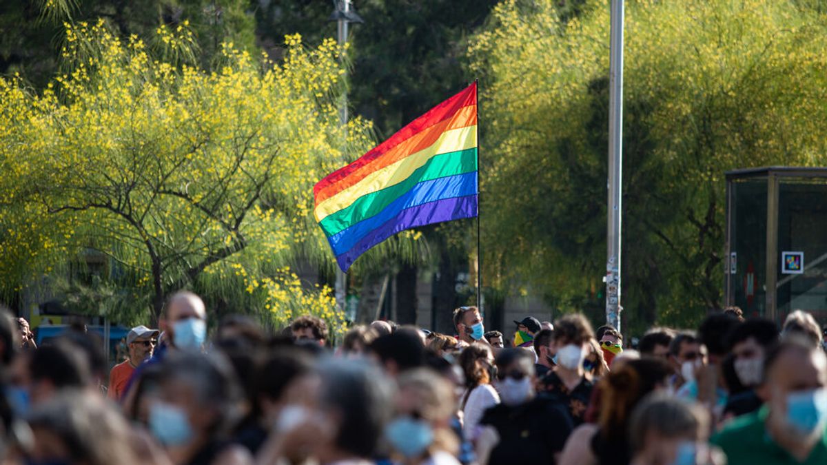 Habrá manifestación gay en Madrid el 3 de julio pero sin carrozas: "Será un Orgullo seguro y responsable" Habrá manifestación gay en Madrid el 3 de julio pero sin carrozas: "Será un Orgullo seguro y responsable"